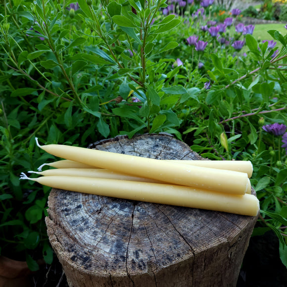 Australian Beeswax Taper Candles 25cm 9+ hour burn time