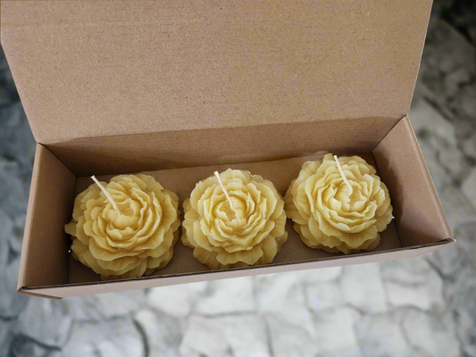 Peony beeswax candle